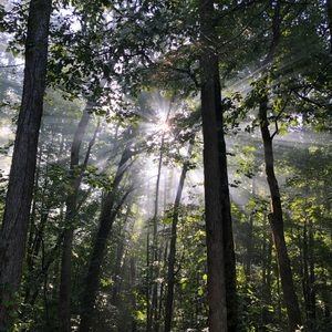 Meet your Posher, Joan